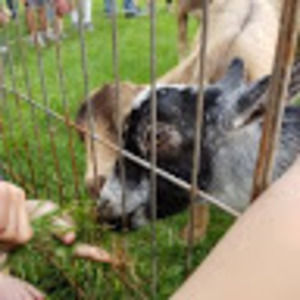 Meet your Posher, Malina